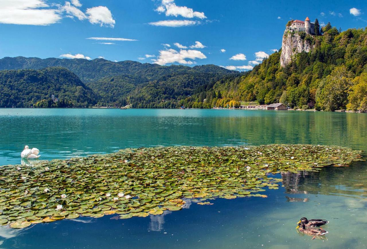 Apartma As Bled Exterior foto
